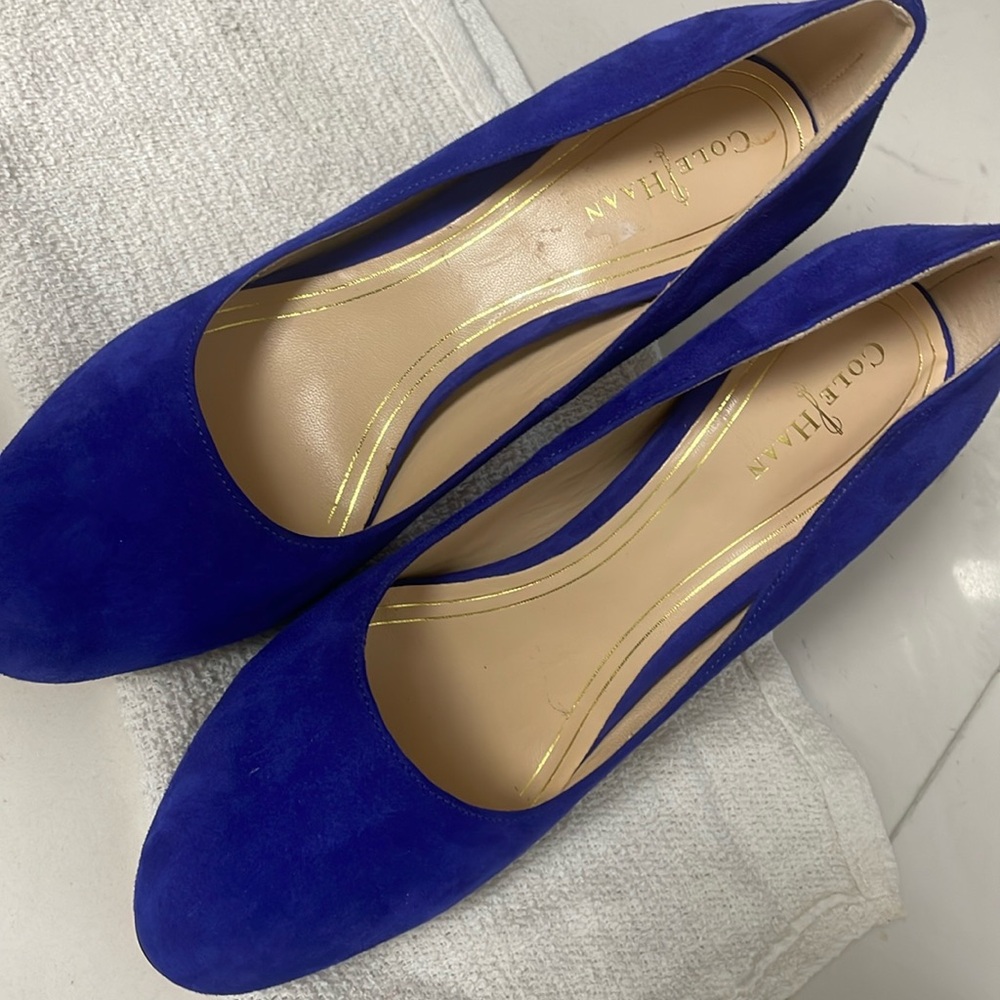 Cole Haan Royal Blue Suede Pointed Toe Pumps